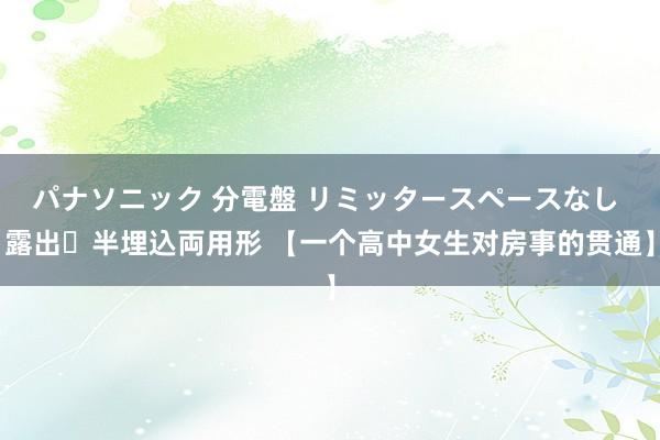 パナソニック 分電盤 リミッタースペースなし 露出・半埋込両用形 【一个高中女生对房事的贯通】